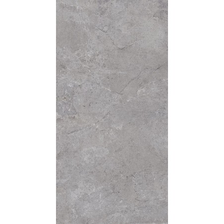 Castelvetro Evolution Grey 30x60