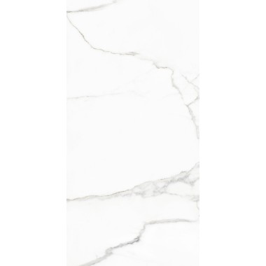 NAXOS Rhapsody 60x120