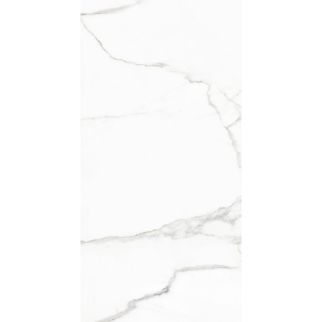 NAXOS Rhapsody 60x120