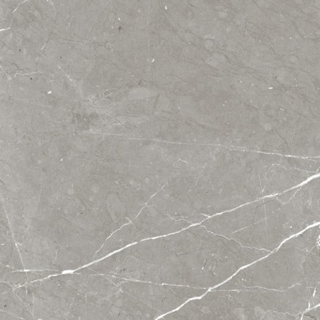 NAXOS Rhapsody 60x60