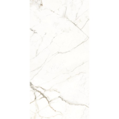 NAXOS Rhapsody 60x120