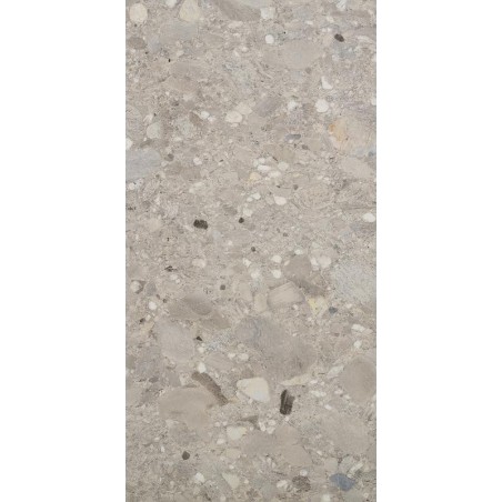 Cercom Ceppo di gres 60x120 RETT