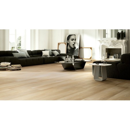 Castelvetro Aequa Silva 20x80