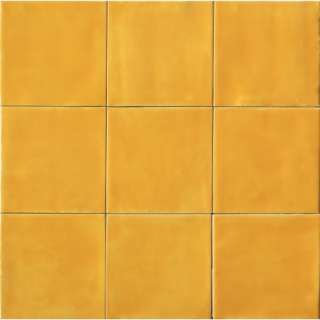 FLORIM Sensi Colore Glossy  11,6x11,6
