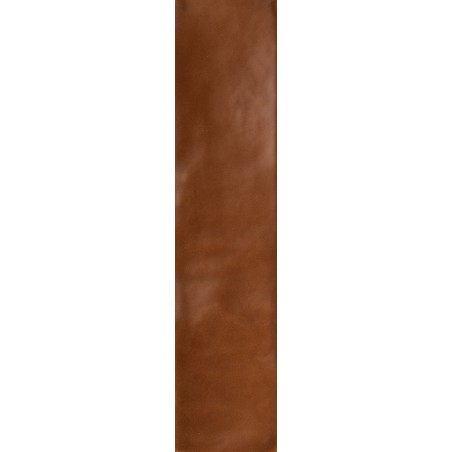 FLORIM Sensi Colore Glossy  5,7x23,2