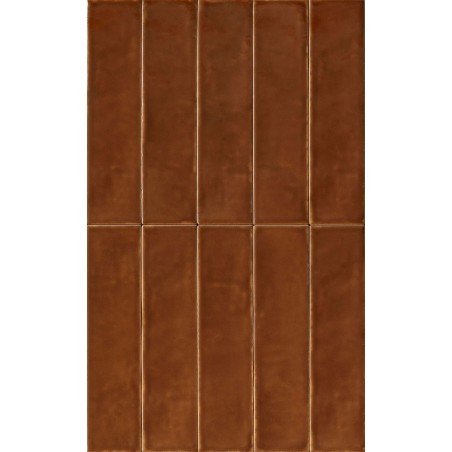 FLORIM Sensi Colore Glossy  5,7x23,2