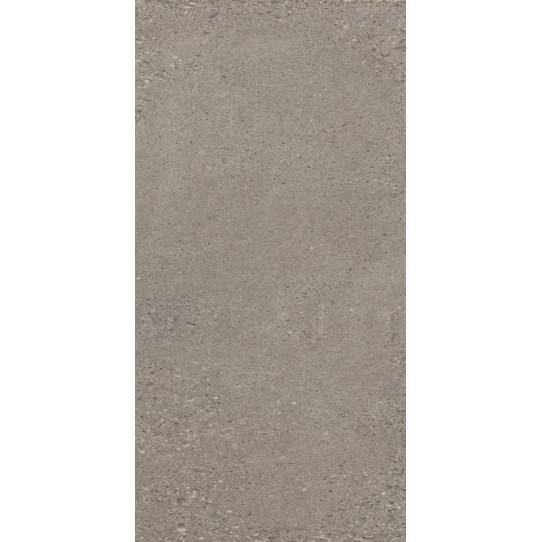 Castelvetro Konkrete Cenere 60x120 R10 20mm